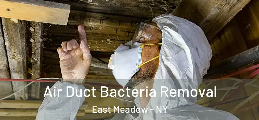  Air Duct Bacteria Removal East Meadow - NY