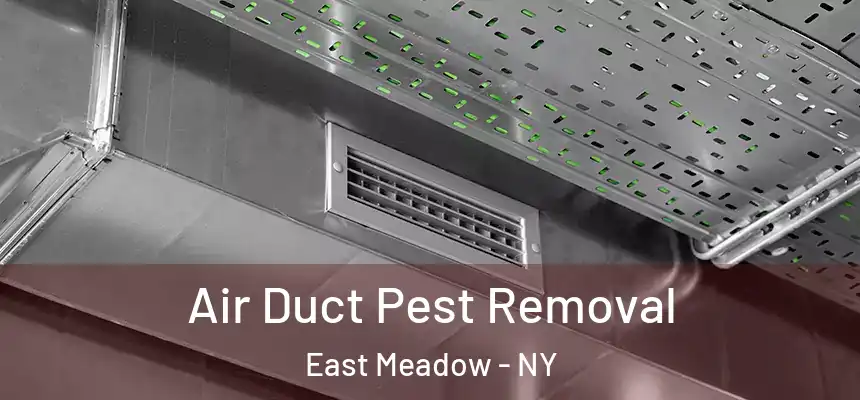  Air Duct Pest Removal East Meadow - NY