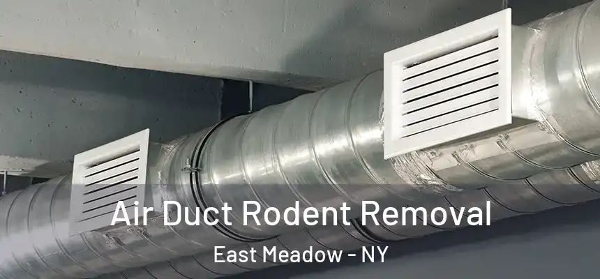  Air Duct Rodent Removal East Meadow - NY