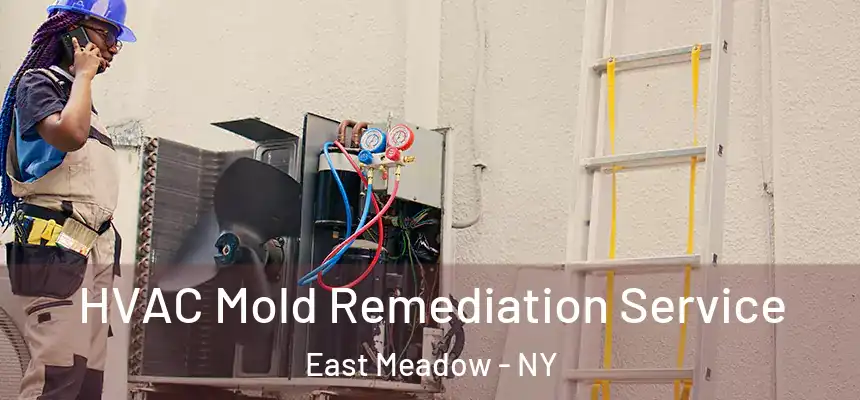  HVAC Mold Remediation Service East Meadow - NY