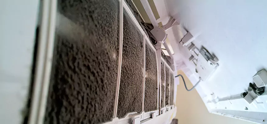 Preventive Air Duct Bacteria Removal in East Meadow