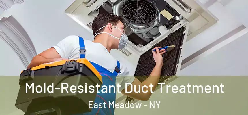 Mold-Resistant Duct Treatment East Meadow - NY
