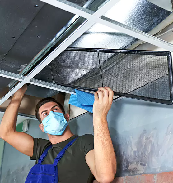 Professional Air Duct Pollen Cleaning in East Meadow, NY