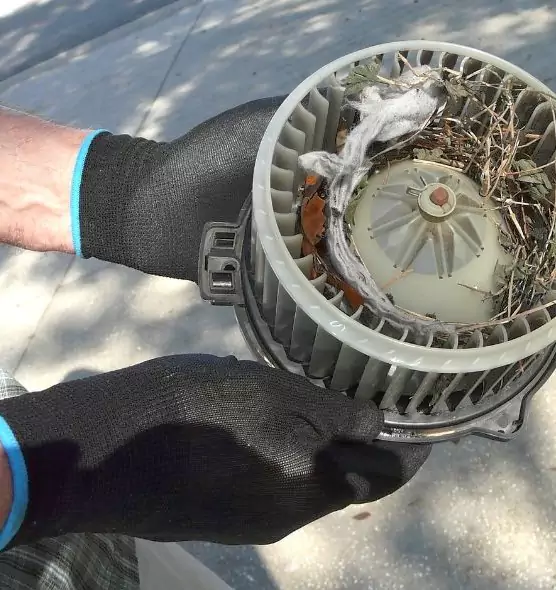 About Air Duct Rat Removal in East Meadow, NY