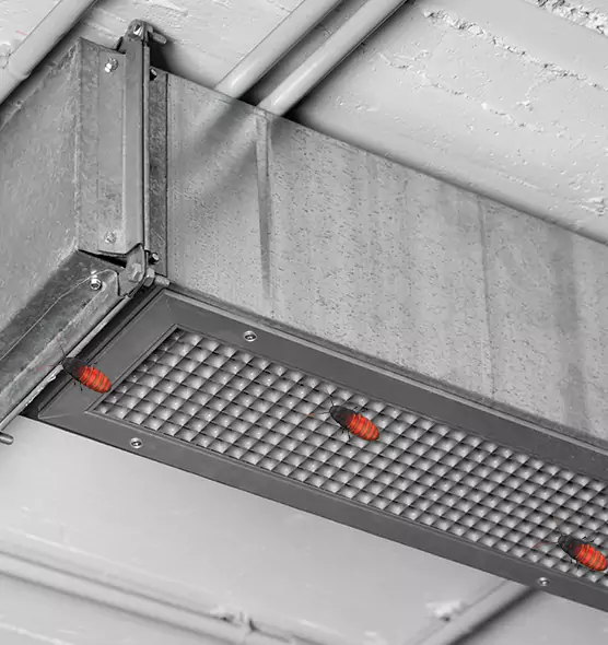 Affordable Insect Removal from Air Ducts in East Meadow, NY