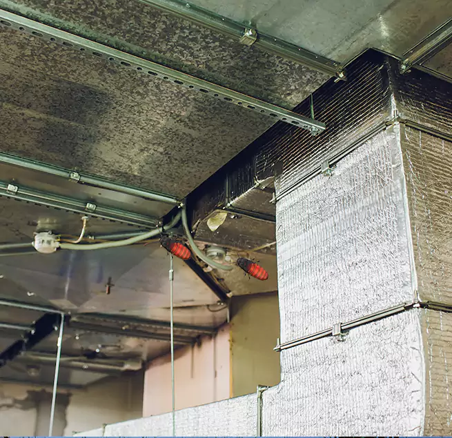 Why Homeowners & Businesses Trust Us East Meadow, NY?